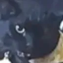 kleekaiboii