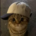parisshark