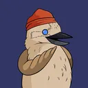 cxvid
