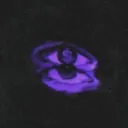 lupqn
