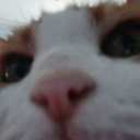 notjimbo