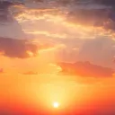 firephoenix7679