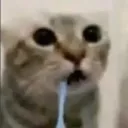 edu_mc05