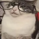 edu_mc05