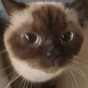 cqwr