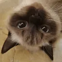 cqwr