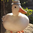 avatar 𝒦𝒶𝓎𝓁𝒶