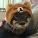 mindiw