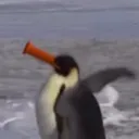 pandomains
