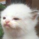 skeefith#8599's avatar