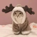karzeuu