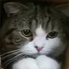 maru6013
