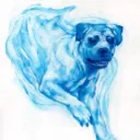 mordysdog