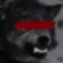 p4rtypup