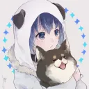 shiba4069