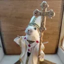 geitenkaas2600 avatar