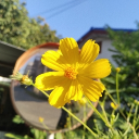 avatar ☾ ⋆⁺₊⋆ ทาโระจัง ‧₊˚ ⋅  ࣪ ִֶָ☾.