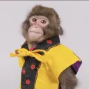 dtaild