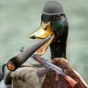 capriojablkowe