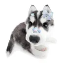 ditsydizzymochii