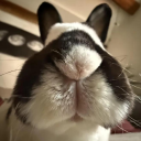 avatar Shemek Maddix