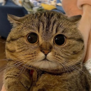 zhoucloud486's Avatar