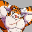 bruceclawstrife