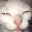 m0useatr0n