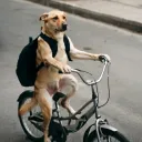 tycoonowner