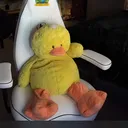 .linkozz