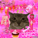 avatar ᴿᵉᶻᶻᵃ𓅰