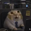 tmayito