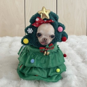 avatar ᘏᘏ ⭒ Saranae ॱଳ͘