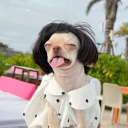 avatar ᘏᘏ ⭒ Rubyxoxo ॱଳ͘