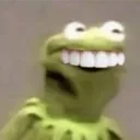 zeartichau