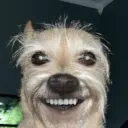 skyline7502