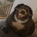 lpn6
