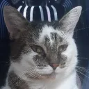ChatonUltime🍞's Avatar