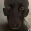 reazgers