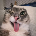 Discord Avatar