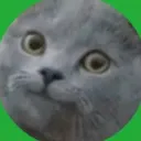 akhbr