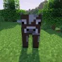 5cowcow