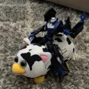 garbojegaroje