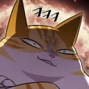 dibromm