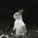 avatar ˚˖° 感情的 𐙚 Ი𐑼