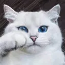 uzunhobbitt
