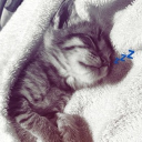 avatar 𝔟𝔩𝔢𝔢𝓭