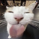 avatar ＪｏｋＥｒ