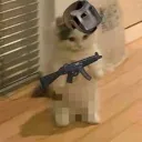 quixzyy