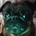 avatar Melvin🇻🇦